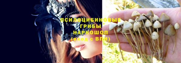 a pvp Алзамай