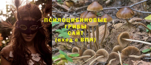 a pvp Алзамай