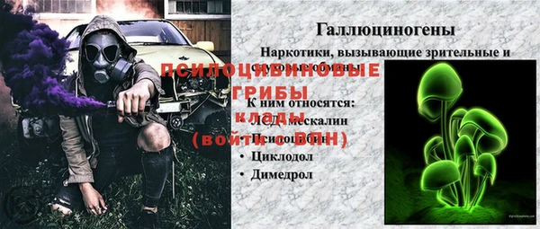 дживик Алексеевка