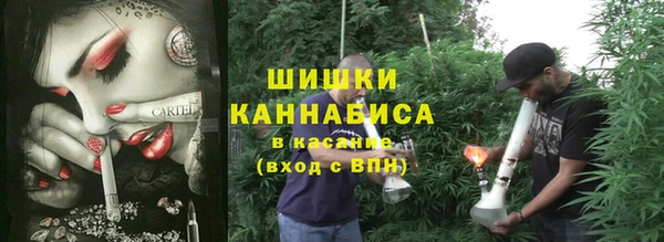 дживик Алексеевка