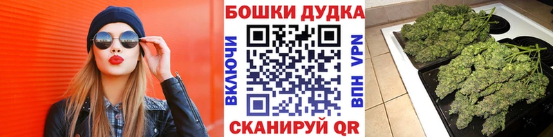Канабис AK-47  цена   Сясьстрой 